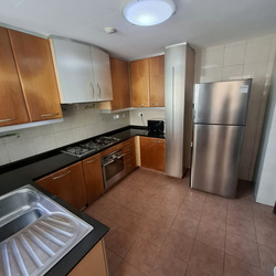 Twin Heights (D12), Apartment #495498781